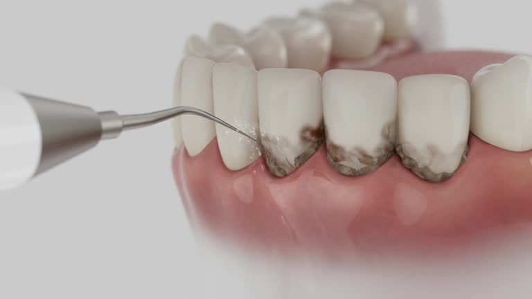 Reliable Dental contractor in Cape St. Claire, MD by Dentist Open Now
